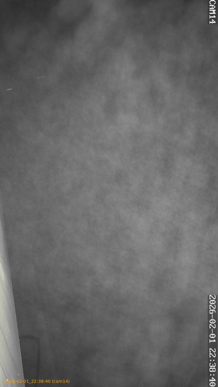 thumbnail_20260201223840