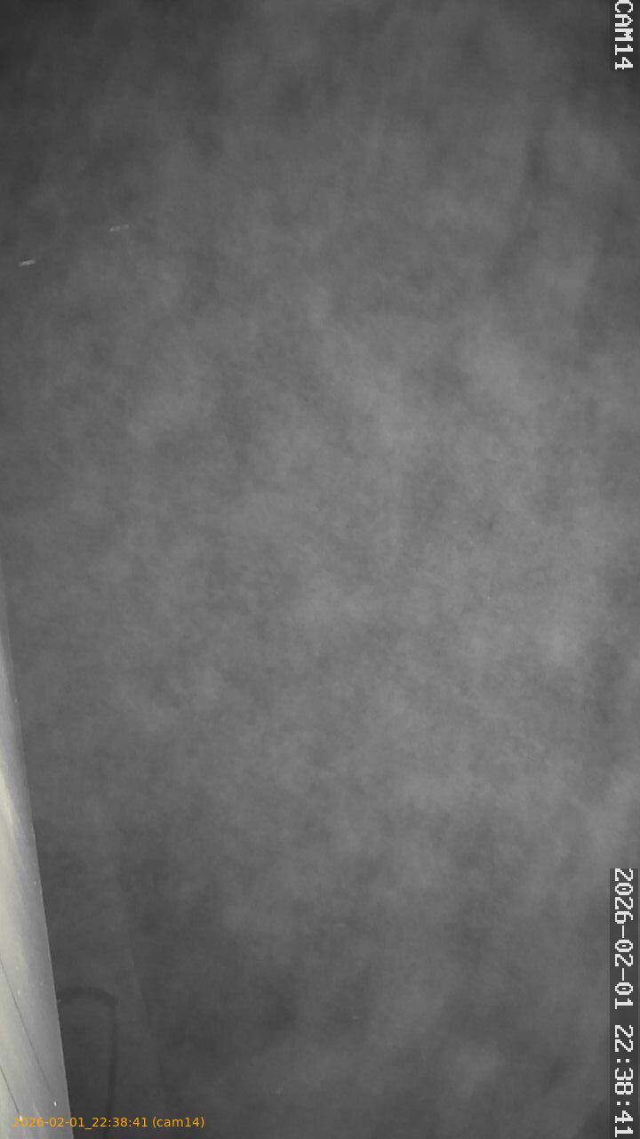 thumbnail_20260201223841