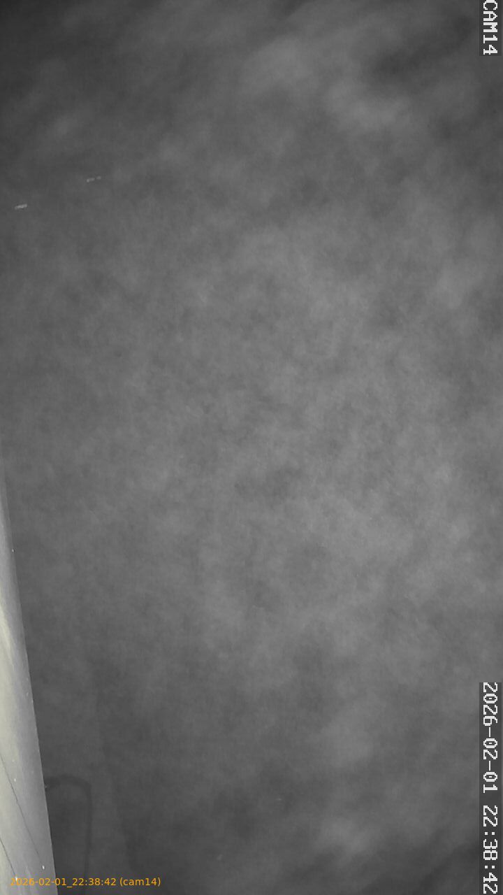 thumbnail_20260201223842