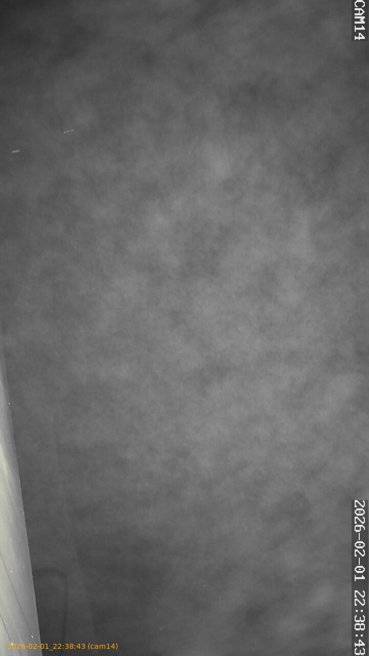 thumbnail_20260201223843