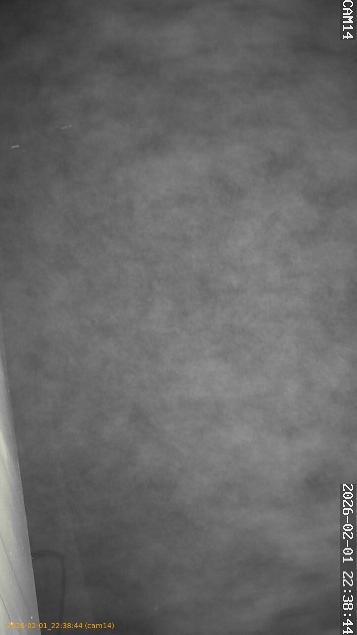 thumbnail_20260201223844