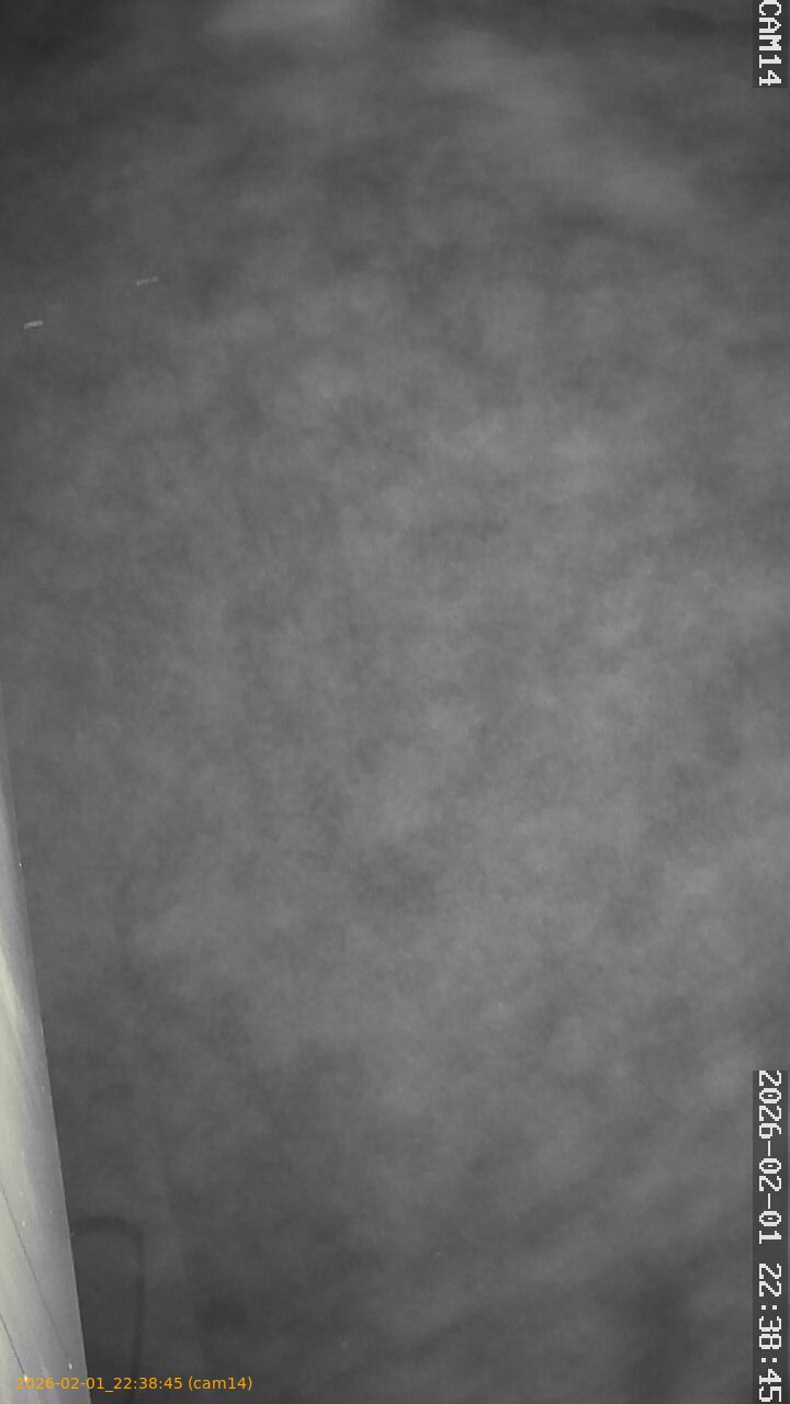 thumbnail_20260201223845