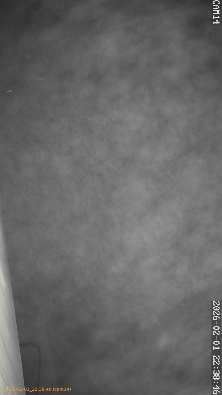 thumbnail_20260201223846