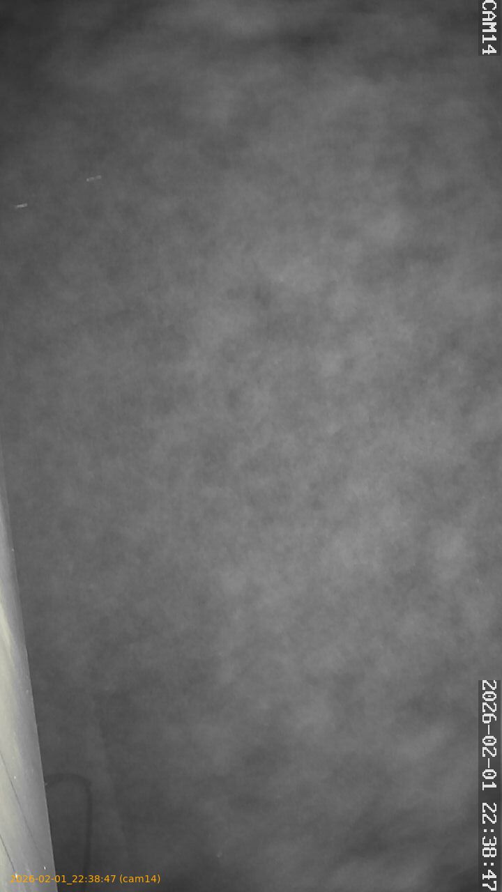 thumbnail_20260201223847