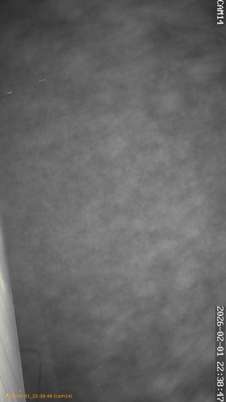 thumbnail_20260201223848