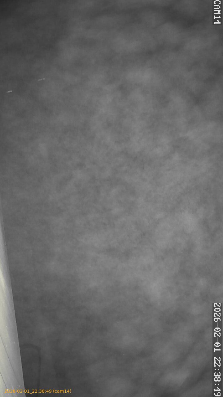 thumbnail_20260201223849