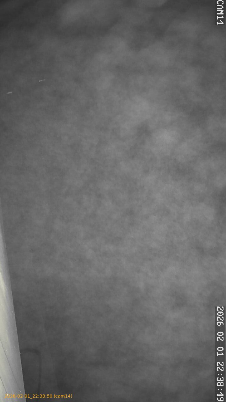 thumbnail_20260201223850