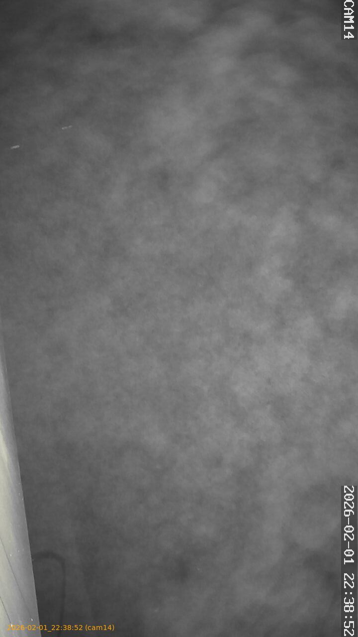 thumbnail_20260201223852