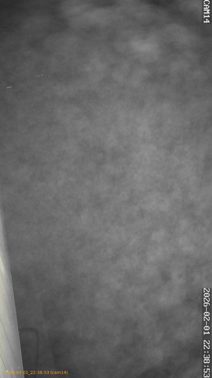 thumbnail_20260201223853