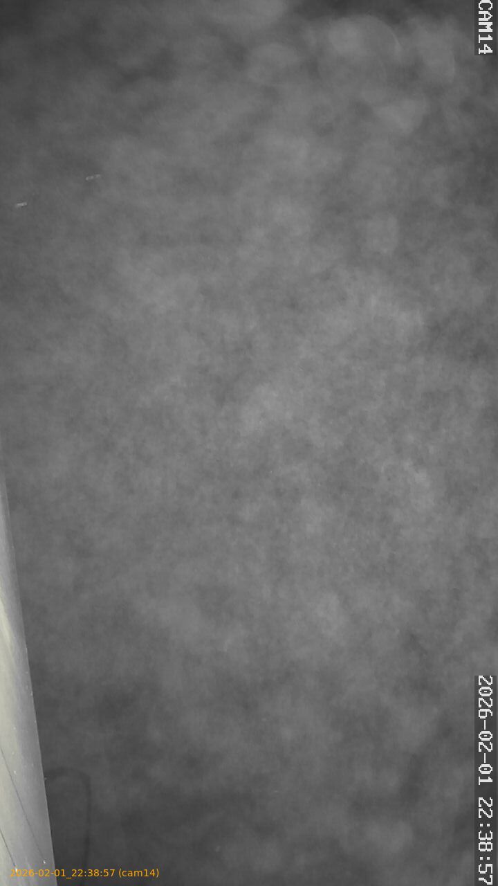 thumbnail_20260201223857