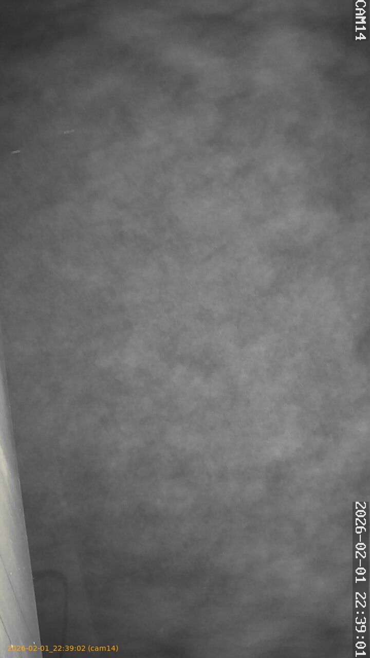 thumbnail_20260201223902