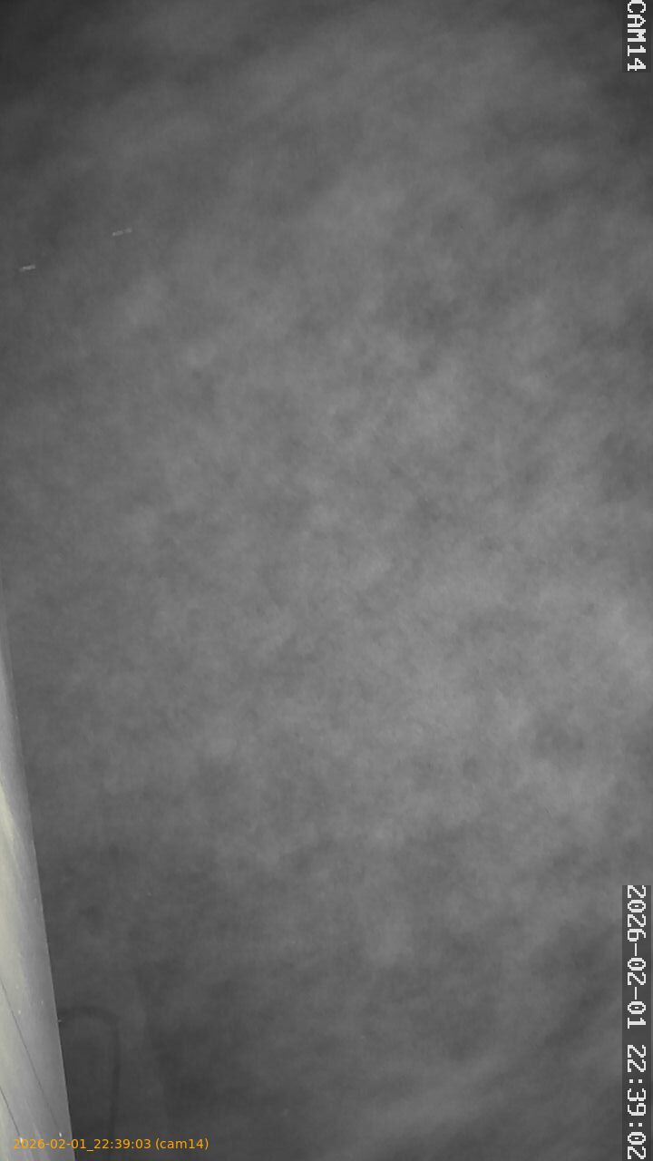 thumbnail_20260201223903