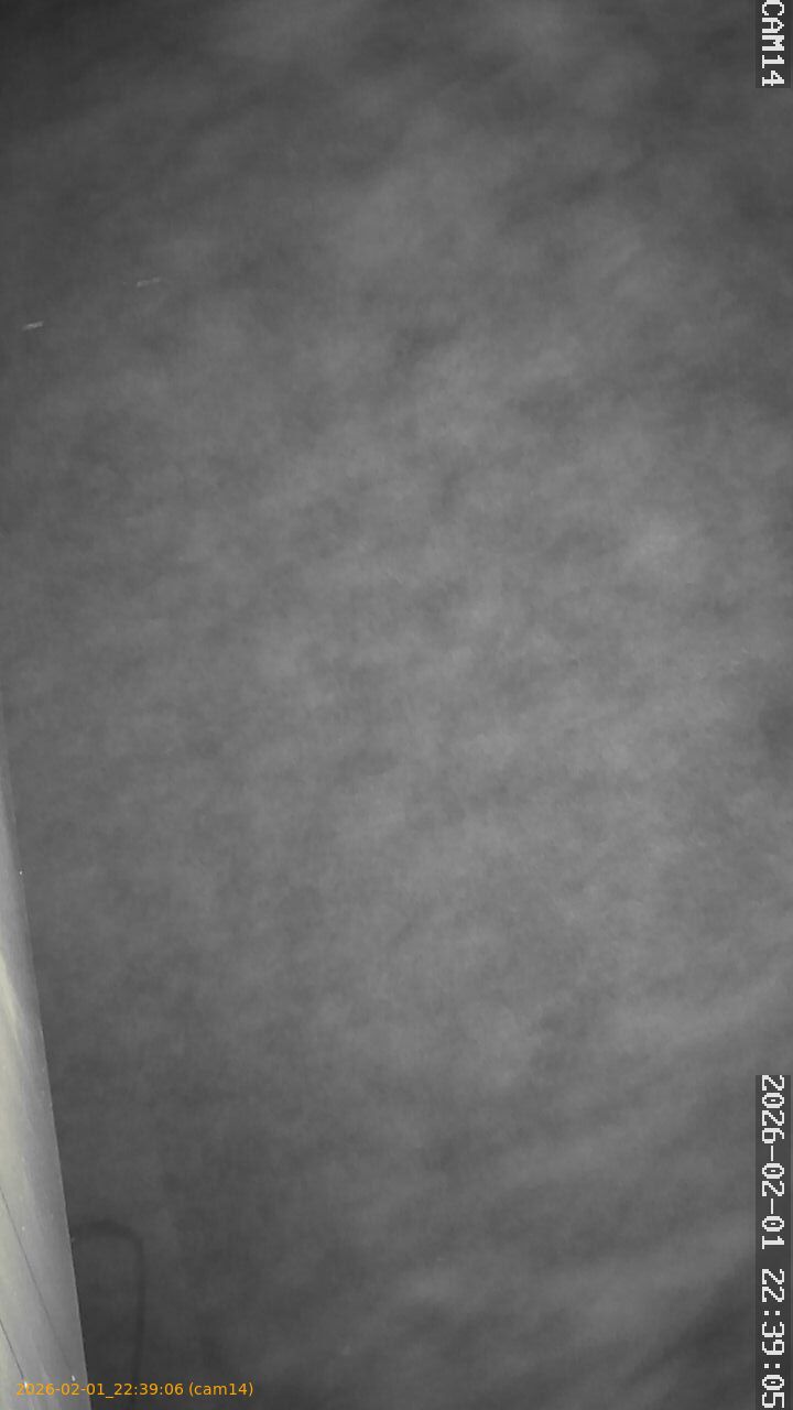 thumbnail_20260201223906