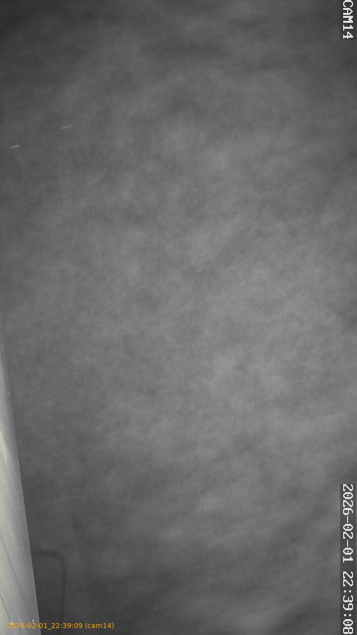 thumbnail_20260201223909