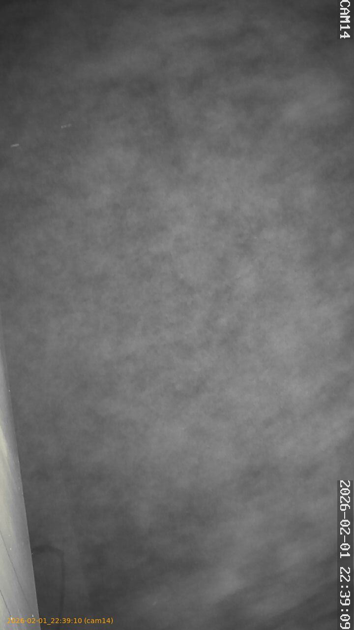 thumbnail_20260201223910