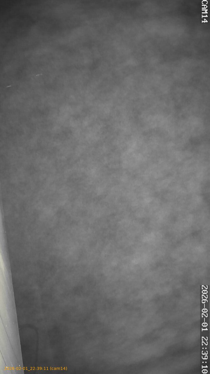 thumbnail_20260201223911