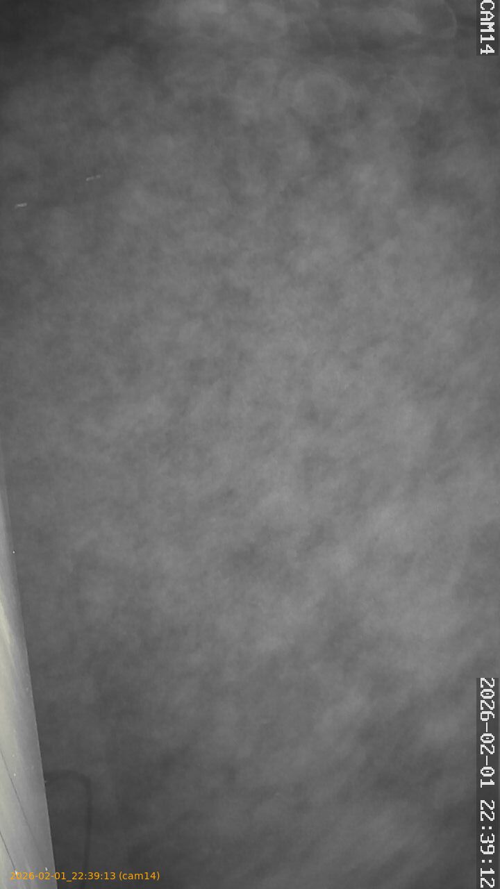 thumbnail_20260201223913