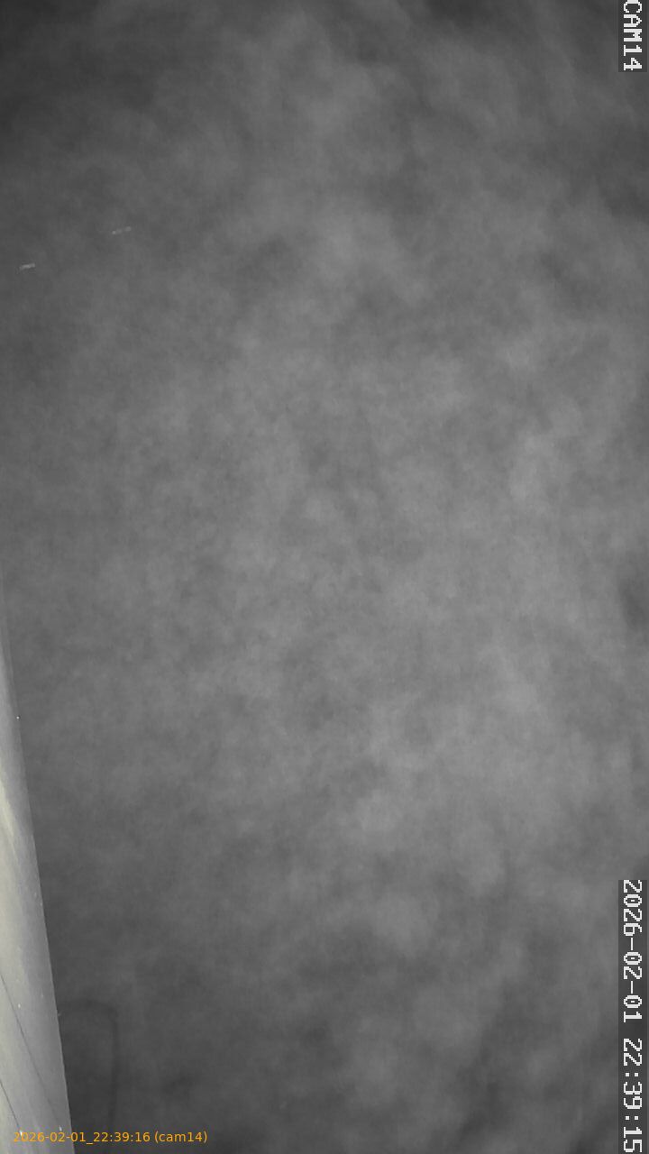 thumbnail_20260201223916