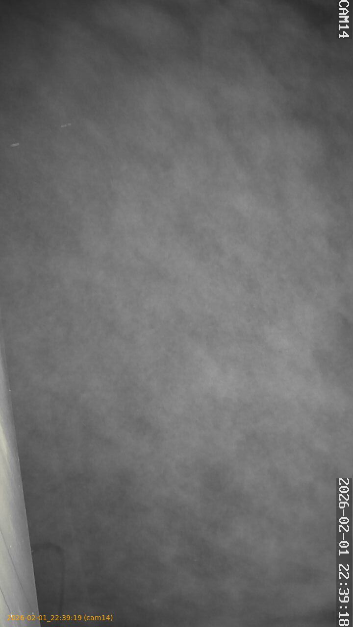 thumbnail_20260201223919