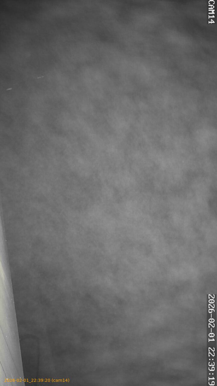 thumbnail_20260201223920