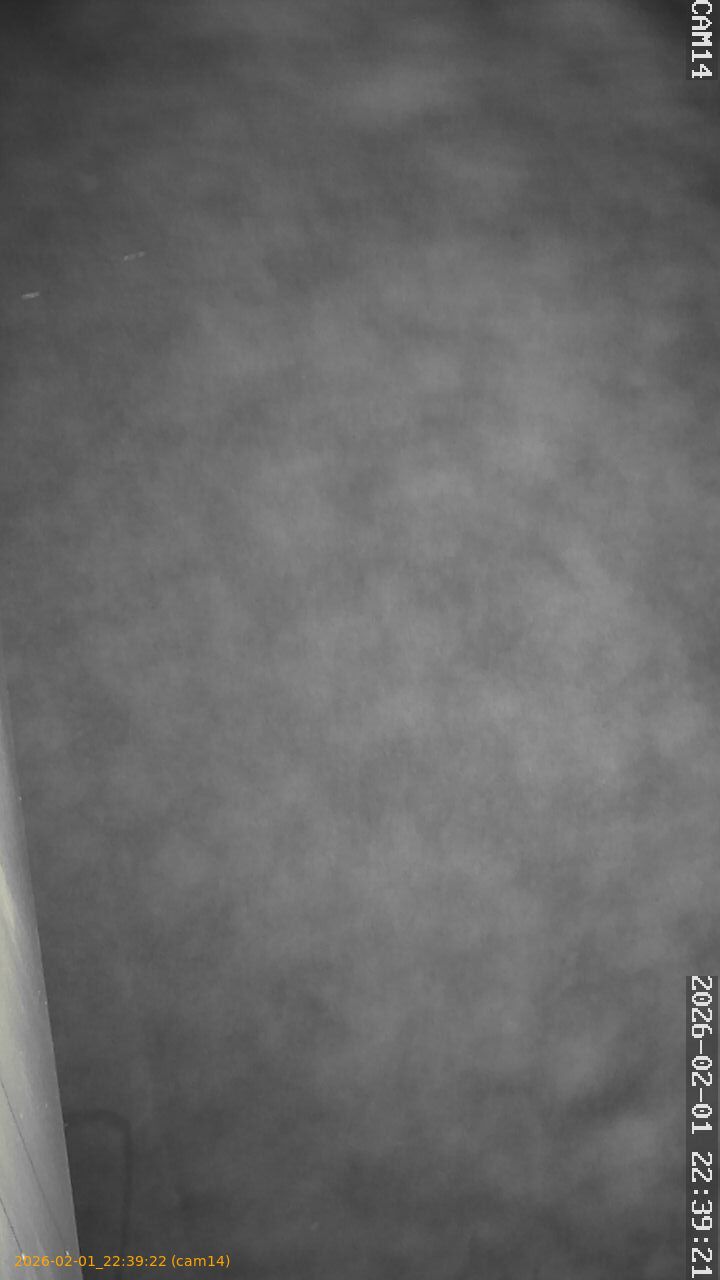 thumbnail_20260201223922