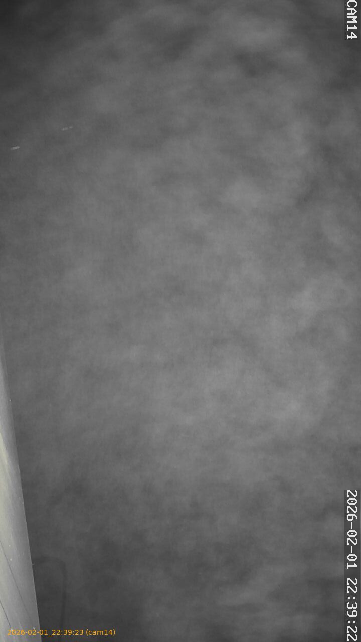 thumbnail_20260201223923