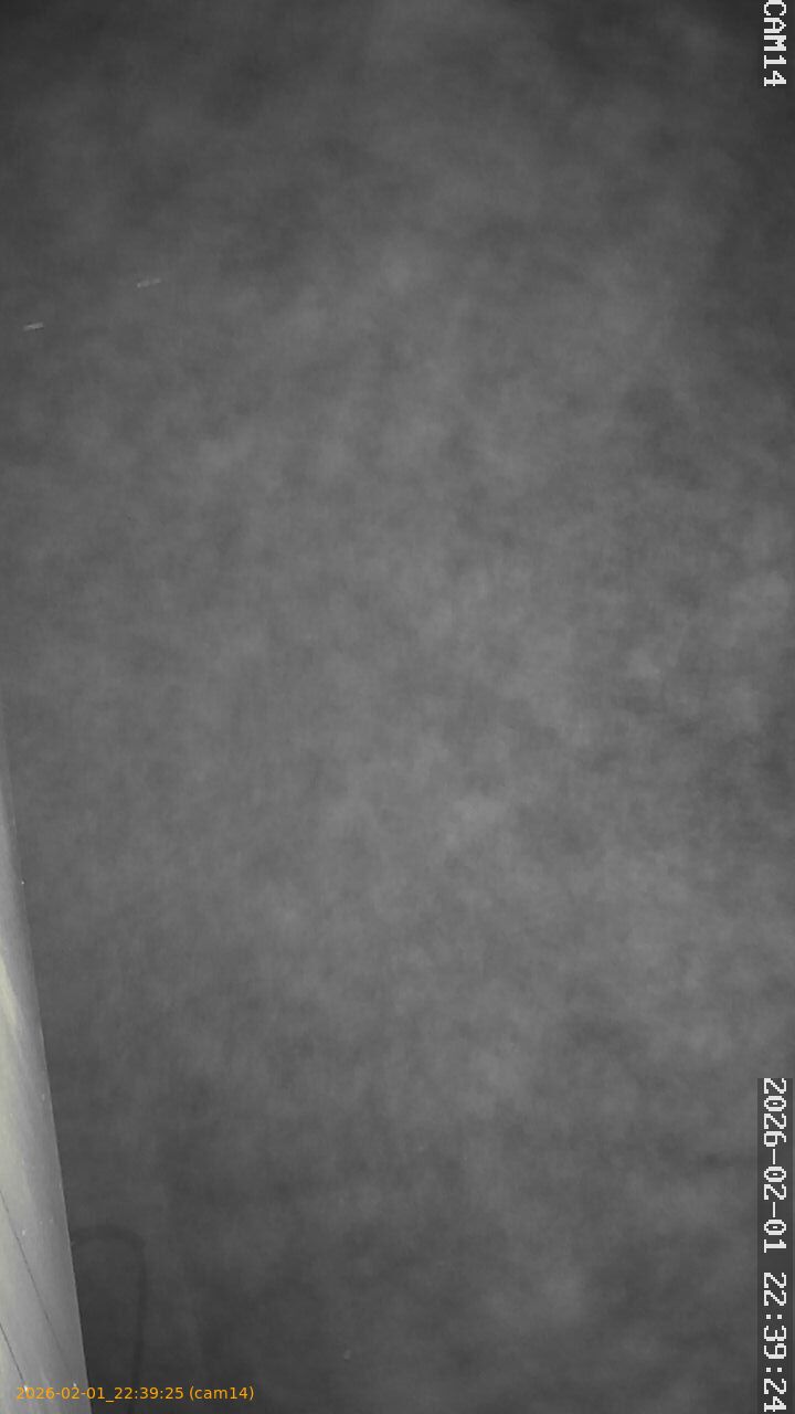 thumbnail_20260201223925