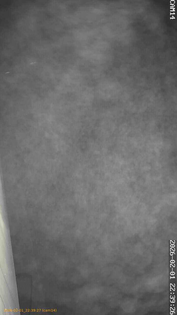 thumbnail_20260201223927