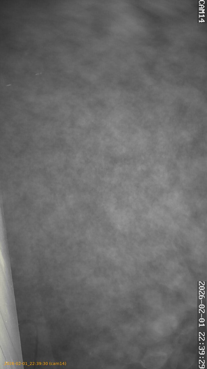 thumbnail_20260201223930