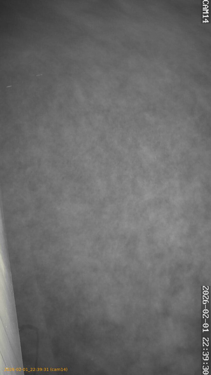 thumbnail_20260201223931