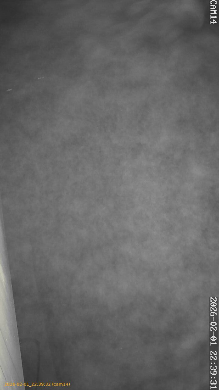 thumbnail_20260201223932