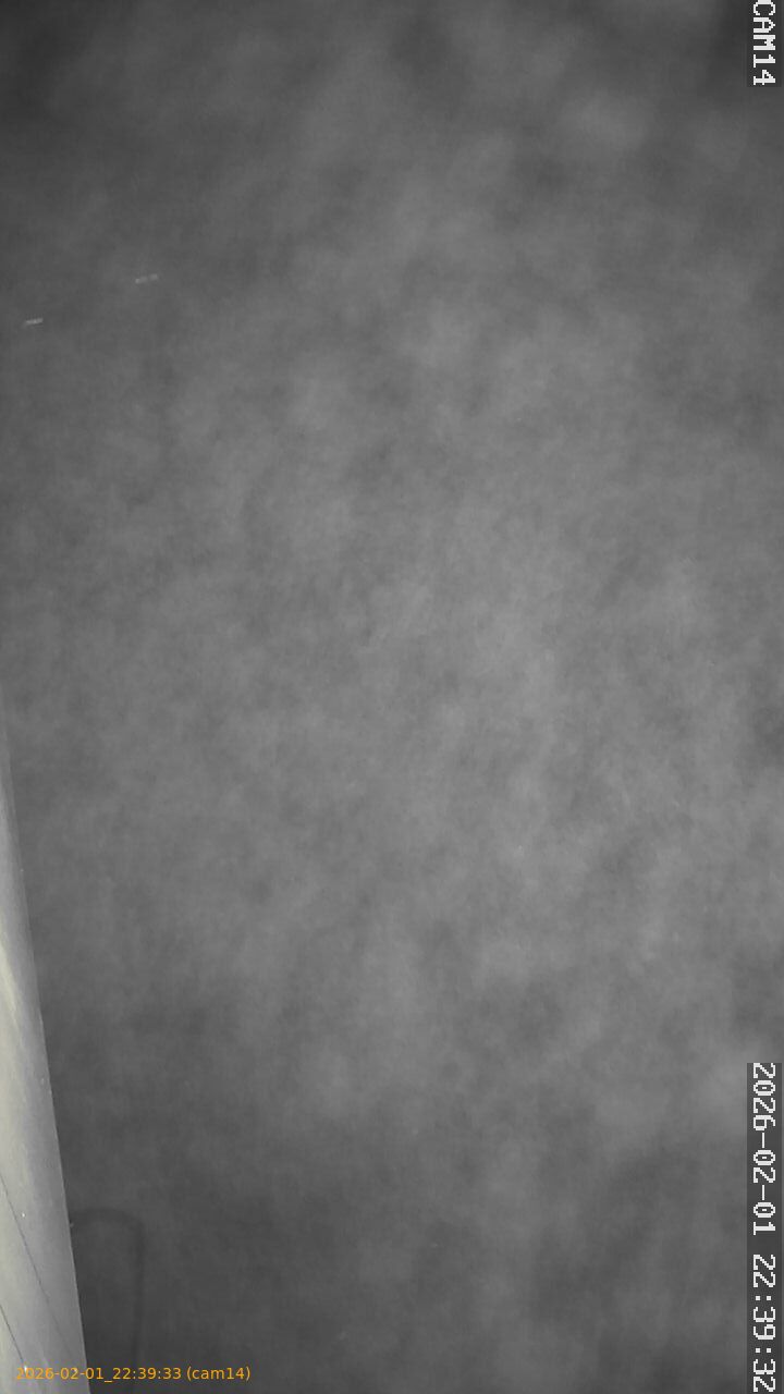 thumbnail_20260201223933