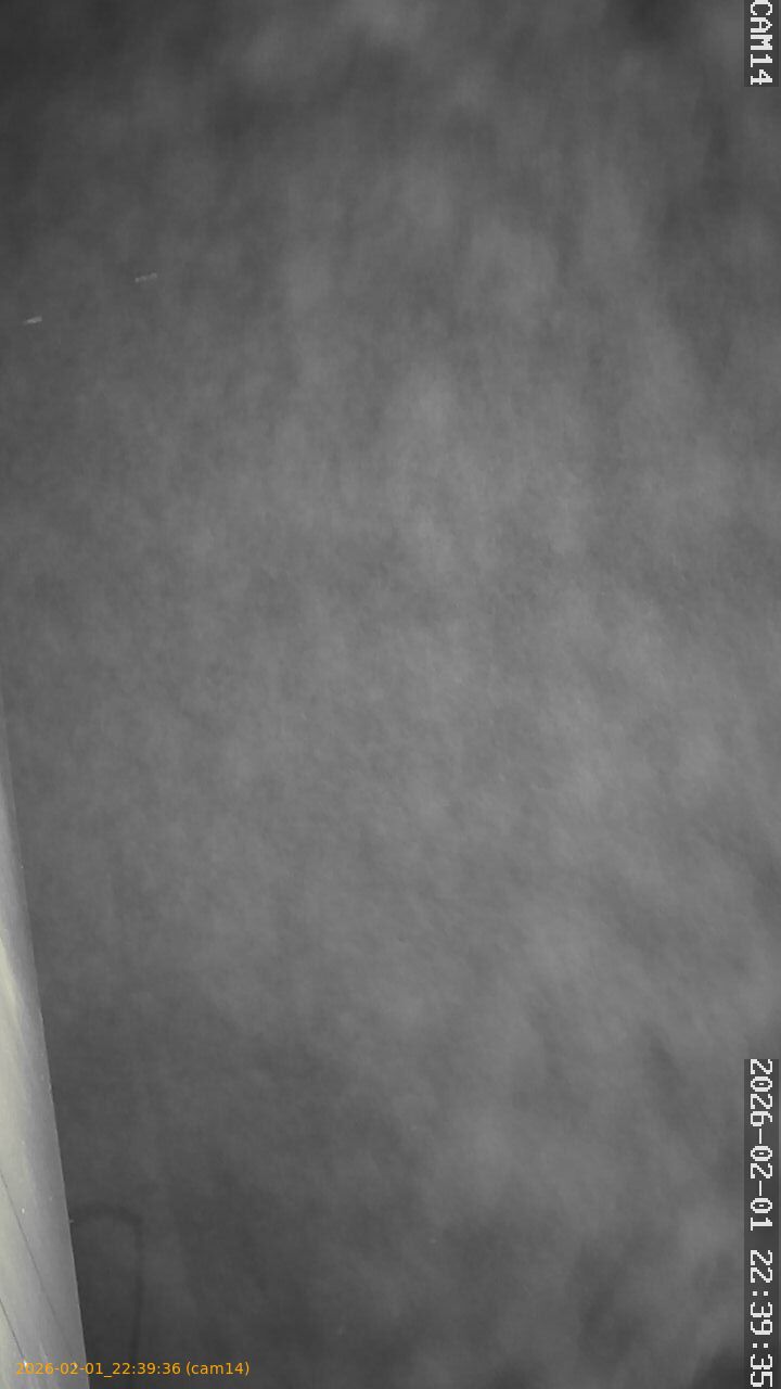 thumbnail_20260201223936