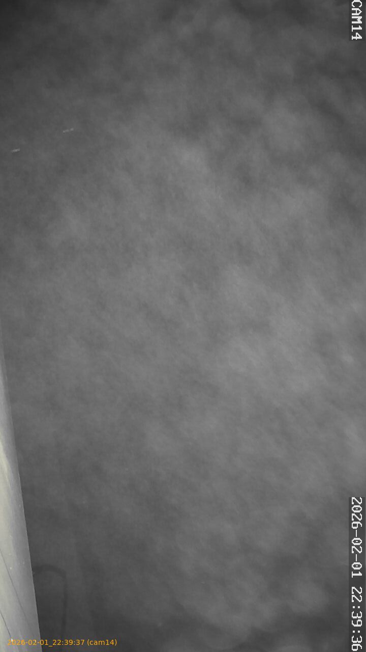 thumbnail_20260201223937