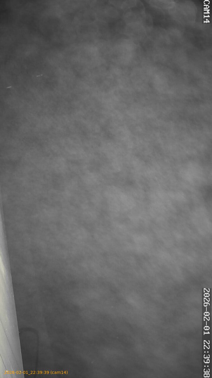 thumbnail_20260201223939