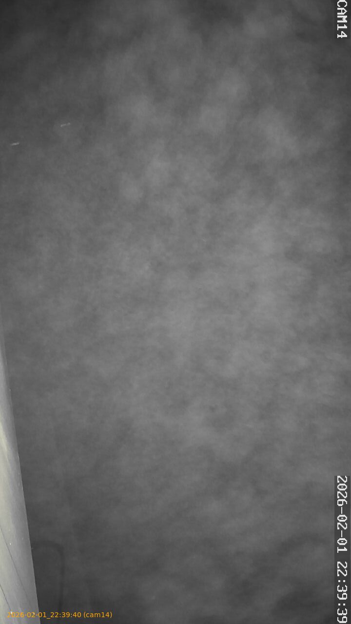 thumbnail_20260201223940