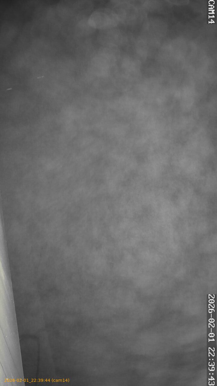 thumbnail_20260201223944