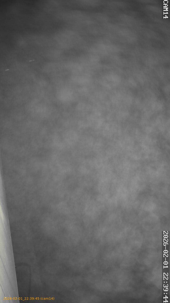 thumbnail_20260201223945