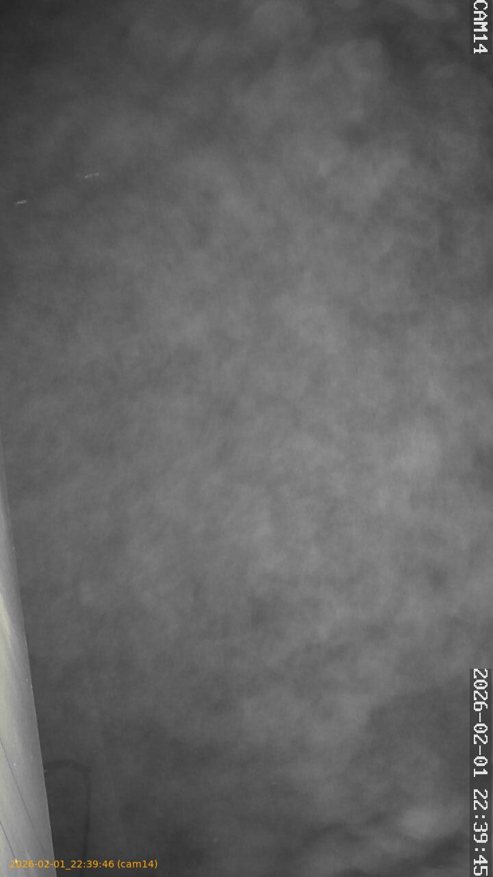 thumbnail_20260201223946