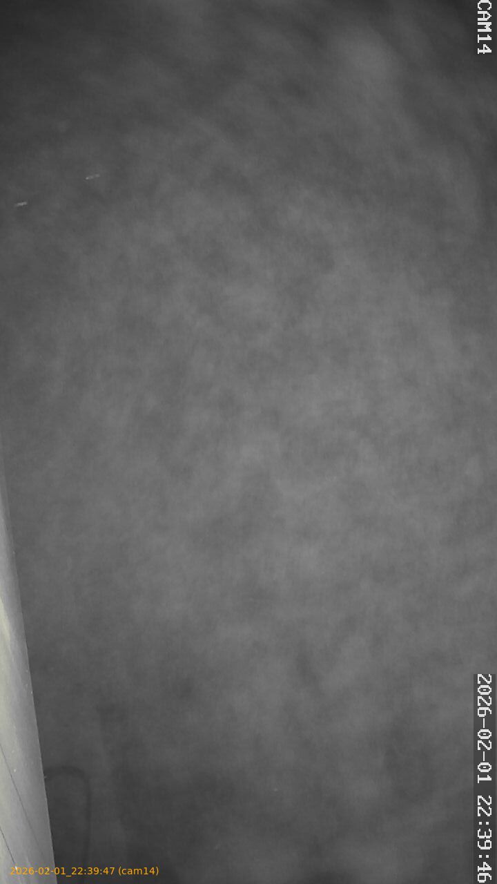 thumbnail_20260201223947