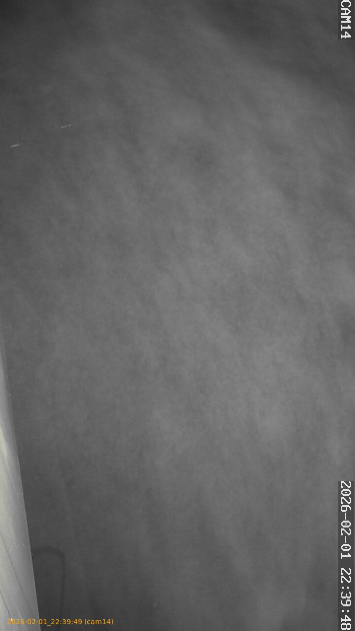 thumbnail_20260201223949