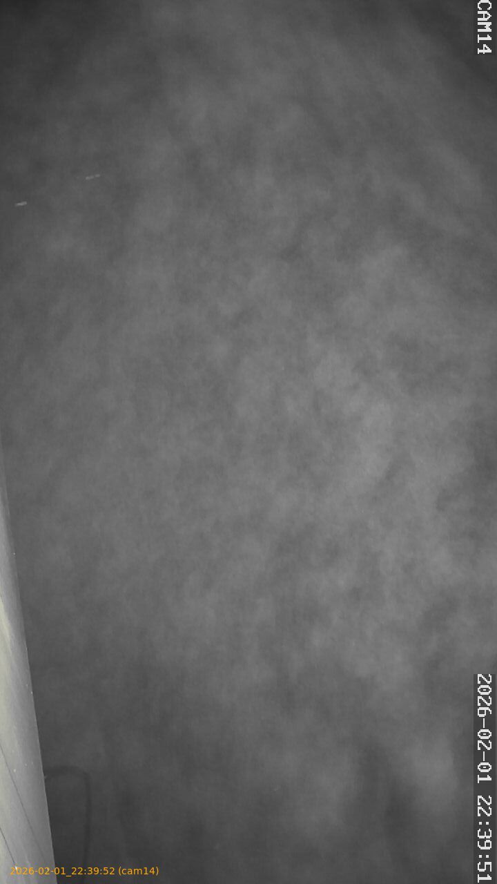 thumbnail_20260201223952