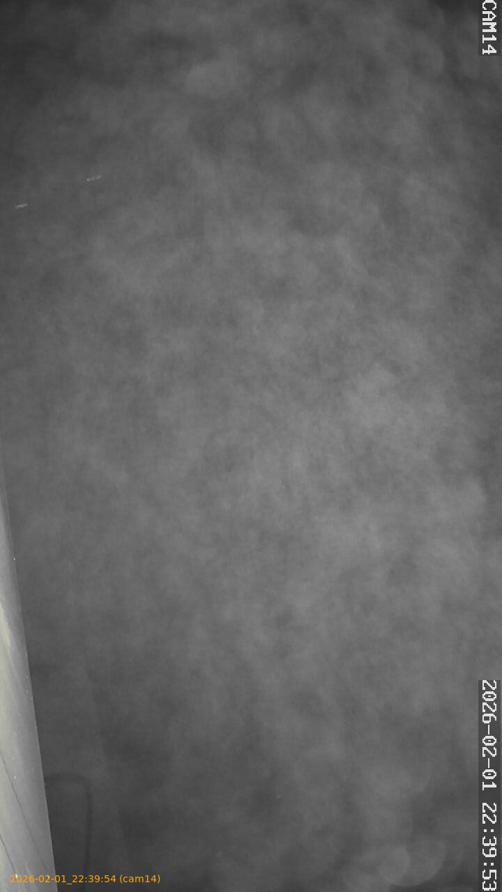 thumbnail_20260201223954