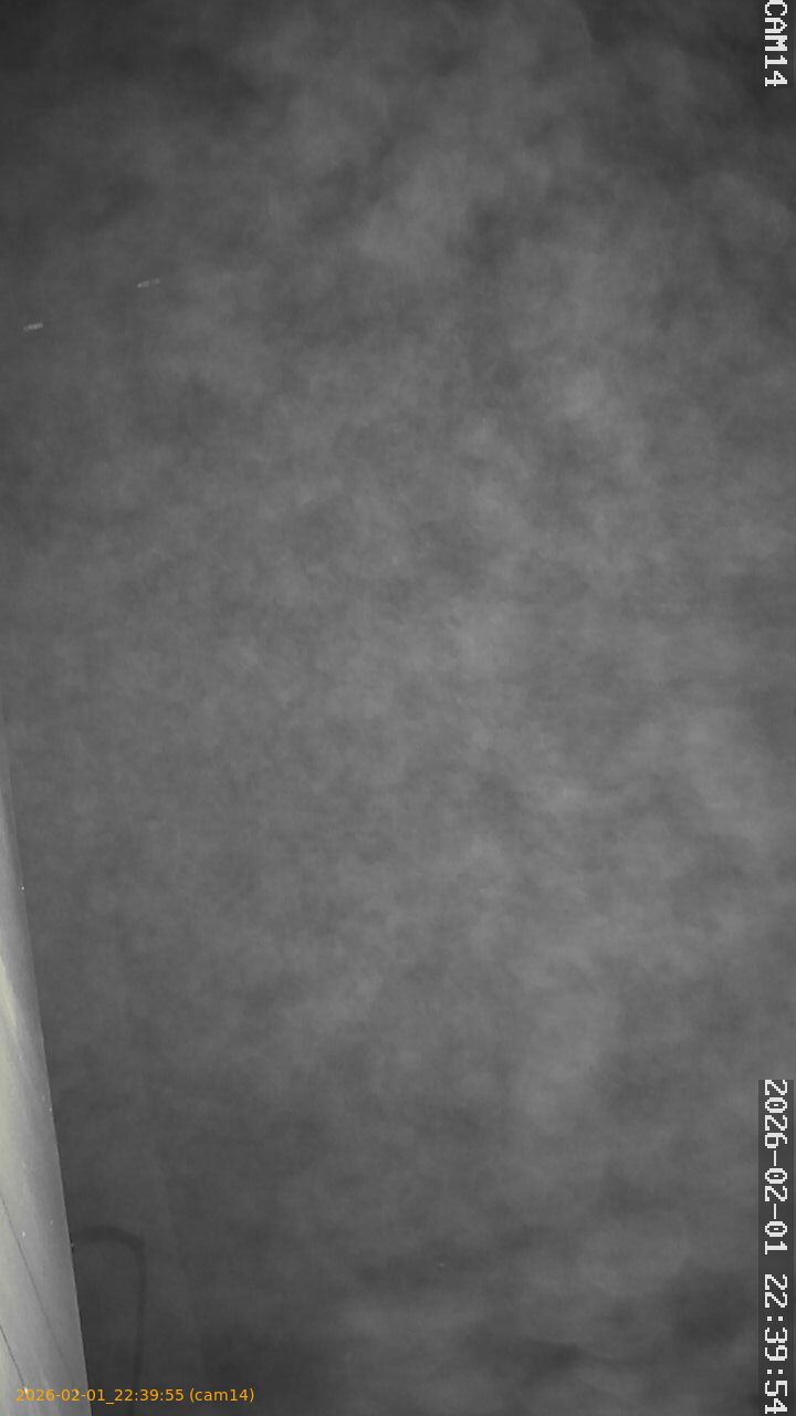 thumbnail_20260201223955