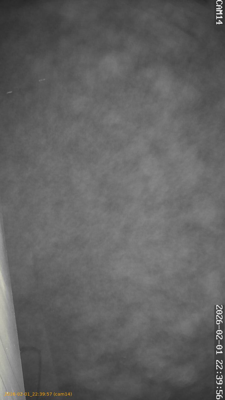 thumbnail_20260201223957