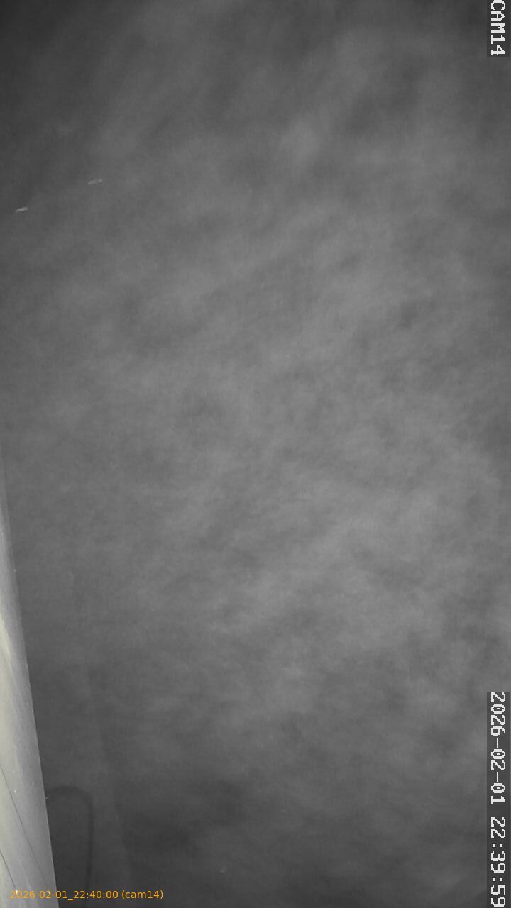 thumbnail_20260201224000