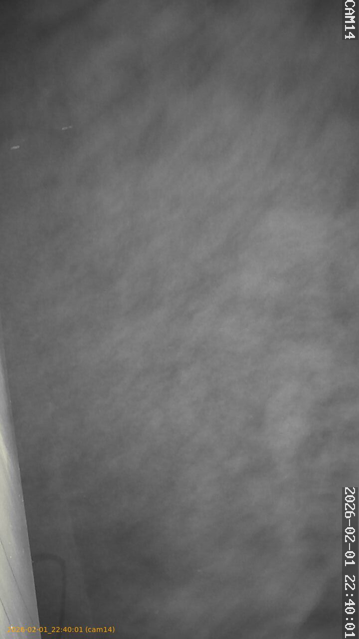 thumbnail_20260201224001