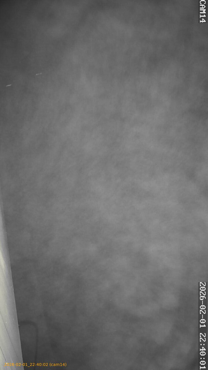 thumbnail_20260201224002