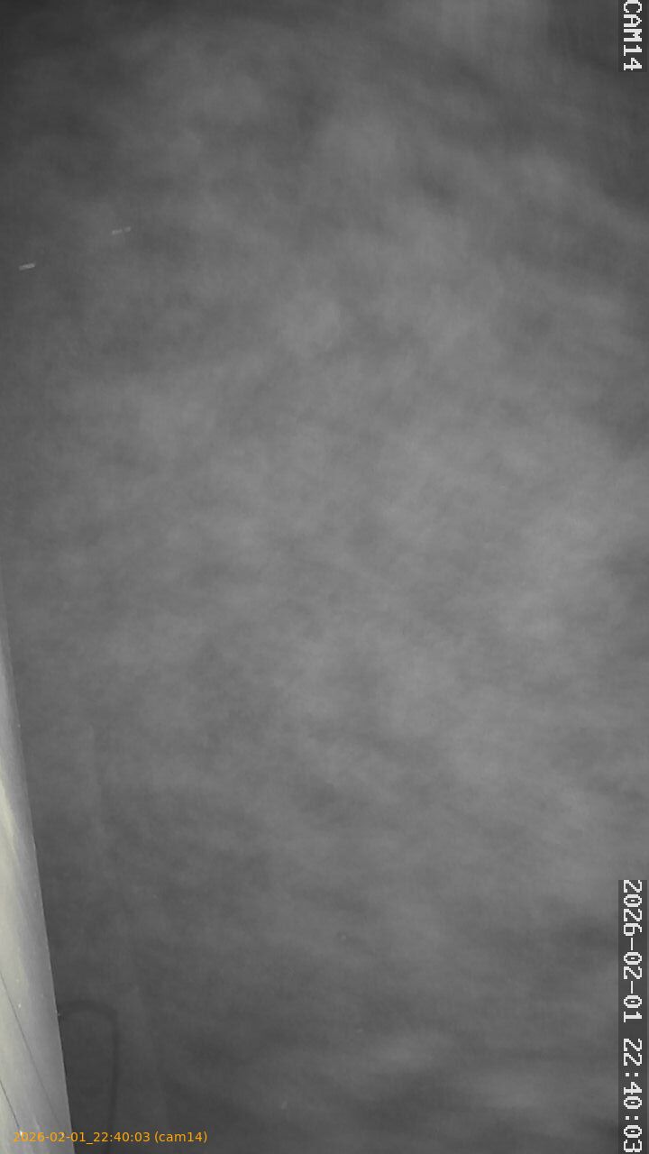 thumbnail_20260201224003