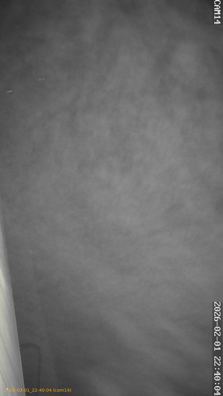 thumbnail_20260201224004